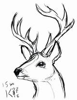 Deer Head Outline Drawing Coloring Pages Clipartmag sketch template