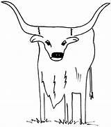 Longhorn Coloring Skull Drawing Texas Getdrawings Pages Getcolorings Cow sketch template