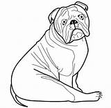 Coloring Pages Dog Template Bulldog English Mastiff Templates Printable Animal Colouring Color American Shape Print Getcolorings Printables Getdrawings Choose Board sketch template