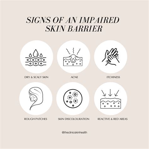 skin barrier explained  clinic skin health