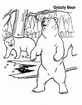 Coloring Bear American Popular sketch template