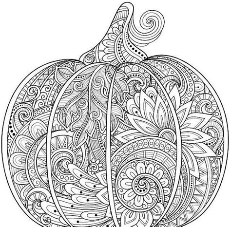 coloring pages  adults halloween pumpkin coloring page pumpkin