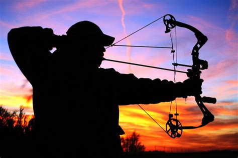 bow hunting   suburban neighborhood   wise safe greater