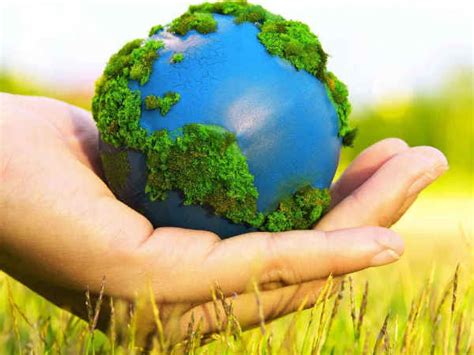 world environment day       conserve nature