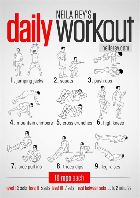 daily workout routine  lose weight