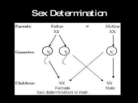 Non Mendelian Genetics Roel