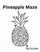 Maze Pineapple Mazes Kids Printable Museprintables Worksheets Visit Printables Easy sketch template
