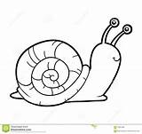 Snail Escargot Coloriage Caracol Caracoles Coloration Getcolorings Abejas Slugs sketch template