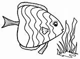 Fish Coloring Pages Color Sea Realistic Puffer Drawing Preschool Ocean Butterfly Beautiful Getcolorings Print Realisticcoloringpages Getdrawings Printable Colorings Paintingvalley sketch template