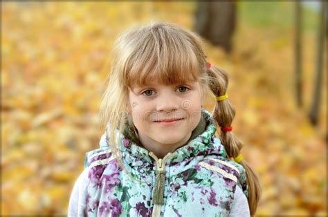 portret van een jong meisje in het de herfstseizoen stock