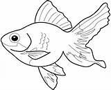 Coloring Pages Beautiful Fish Animal sketch template