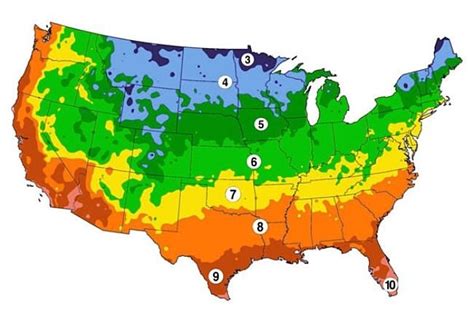 find  hardiness climatic region  usa  growing vegetables herbs