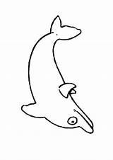 Dolfijn Kleurplaat Dolfijnen Delfine Malvorlagen Dieren Delphin Colorare Mewarnai Lumba Delfini Animasi Colorat Printen Animierte Bergerak Animaatjes Delfino Planse Delphine sketch template