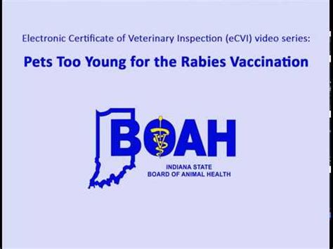 rabies certificate fill  printable fillable blank