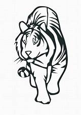 Tiger Coloring Pages Kids Printable Bestcoloringpagesforkids sketch template