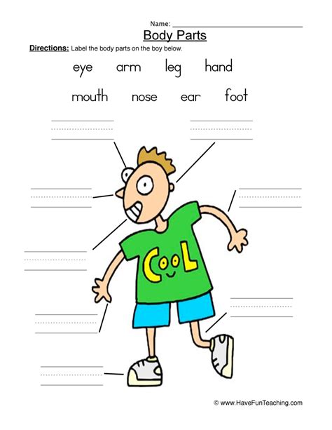 body parts worksheet boy