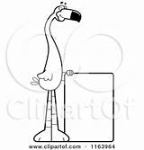Mascot Flamingo Sign Cartoon Cory Thoman Outlined Coloring Vector 2021 sketch template