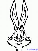 Bunny Bugs Draw Drawing Easy Face Step Head Clipart Cartoon Drawings Network Cartoons Dragoart Characters Clipartmag Clipartbest Cliparts Cool Disney sketch template