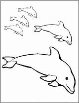 Dolphin Dolphins Delphine Delfini Stampare Colorir Nadando Golfinhos Familia Outlines Ausmalbilder Ausmalbild Bestcoloringpagesforkids Qdb sketch template