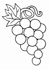 Grapes Coloring Grape Pages Ring Parentune Worksheets Printable sketch template
