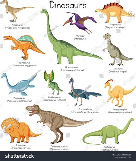 types dinosaurs names illustration stock vector royalty