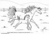 Horses Galop Malvorlage Galoppo Galoppieren Kleurplaat Galope Dibujo Foals Colt Paarden Kleurplaten Foal Grande sketch template