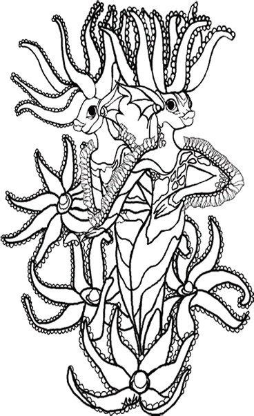 sea creatures coloring pages   colouring pictures