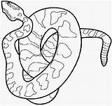 Copperhead Snake sketch template