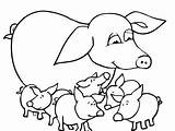 Baby Pig Pages Coloring Pigs Cute Drawing Piglet Suitcase Printable Color Getcolorings Getdrawings Print sketch template