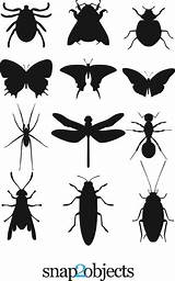 Insect Insects Silouettes Silhouette Bugs Snap2objects Silhouettes Dragonfly Template Templates 2009 sketch template