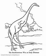 Struthiomimus Carnivore Omnivore Herbivore Dinosaurs Dino sketch template