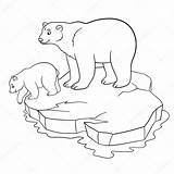 Urso Atividades sketch template