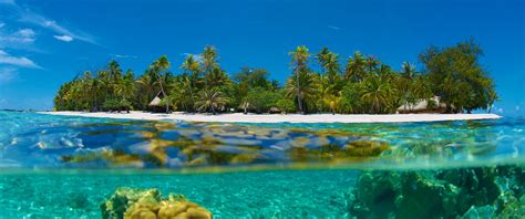 islands beaches reefs exotic island vacations exotic honeymoon