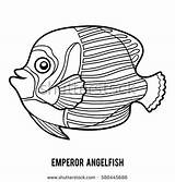 Coloring Emperor Butterflyfish Angelfish Fish Illustrations Book Designlooter Vector 470px 4kb Clip sketch template