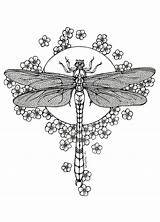 Dragonfly Coloring Pages Tattoo Adults Dragonflies Libellule Background Lineart Drawing Moon Deviantart Colouring Mandala Adult Drawings Color Flower Flowered Tattoos sketch template