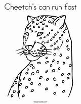Coloring Cheetah Fast Run Leopards Cheetahs Print Ll Twistynoodle Noodle sketch template
