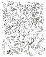Coloring Pages Weed Adult Stoner Marijuana Printable Leaf Stencil Trippy Drawing Smoking Pot Color Plant Books Colouring Hemp Print Book sketch template