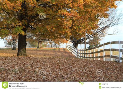 fence  stock image image  posts field nashville