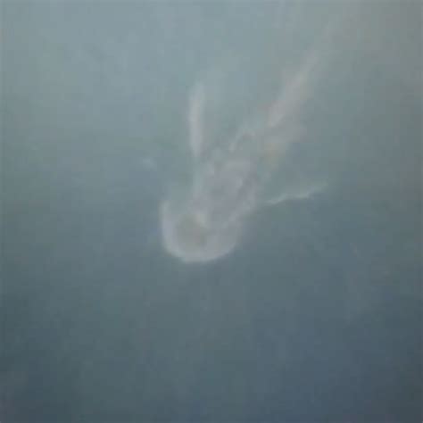 Loch Ness Monster Satellite Image ‘sighting Stirs Controversy — Again
