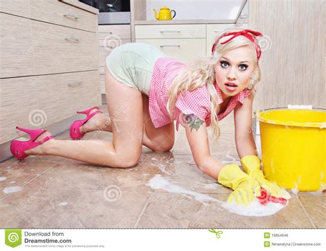 housewife royalty free stock image image 16854646