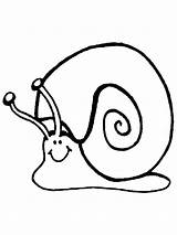Coloring Snail Body Choose Board Pages Animals sketch template