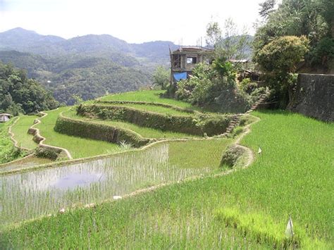 batad philippines rice terraces flickr photo sharing