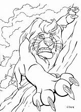 Mufasa Lion Scar Tomber Entrain Roi Simba Gratuit sketch template
