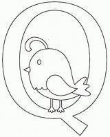 Quail Coloring Pages Aa Choose Board sketch template