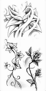 Tatuaggi Disegni Floreali Passionetattoo sketch template