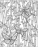 Coloring Bamboo Pages Dover Publications Adult Printable Butterflies Adults Zentangle Color Colouring Butterfly Template Doverpublications Book Welcome Glass Bambou Bambous sketch template