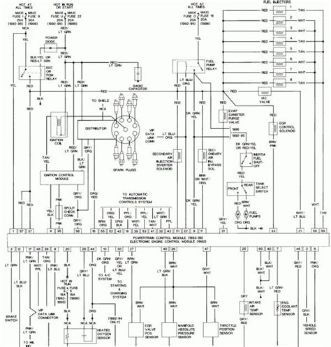 ford  wiring diagram wiring diagram db