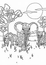 Adult Elephants Colouring Pages Coloring Sheets Eckersleys Craft Au Elephant sketch template
