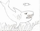 Shark Whale Coloring Getcolorings sketch template