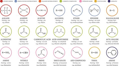 classes  functional groups bartleby